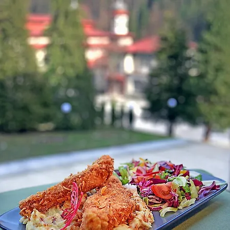 Moldavia 3* Slanic Moldova